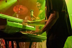 Anthony Johnson & Positive Roots Band, Concert