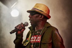 Anthony Johnson & Positive Roots Band, Concert