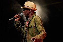 Anthony Johnson & Positive Roots Band, Concert
