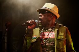 Anthony Johnson & Positive Roots Band, Concert