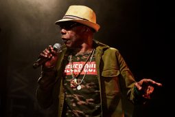 Anthony Johnson & Positive Roots Band, Concert