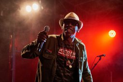 Anthony Johnson & Positive Roots Band, Concert