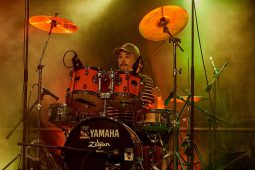 Anthony Johnson & Positive Roots Band, Concert