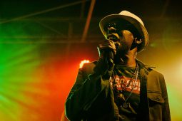 Anthony Johnson & Positive Roots Band, Concert
