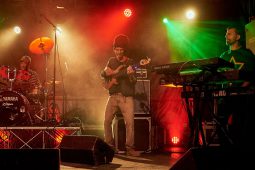 Anthony Johnson & Positive Roots Band, Concert