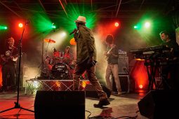 Anthony Johnson & Positive Roots Band, Concert