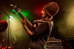 Anthony Johnson & Positive Roots Band, Concert