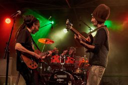 Anthony Johnson & Positive Roots Band, Concert
