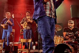 Big Ukulélé Syndicate, Concert