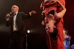 Big Ukulélé Syndicate, Concert