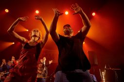 Big Ukulélé Syndicate, Concert