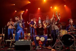 Big Ukulélé Syndicate, Concert