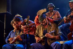 Big Ukulélé Syndicate, Concert