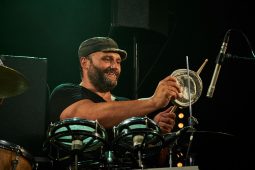 Big Ukulélé Syndicate, Concert