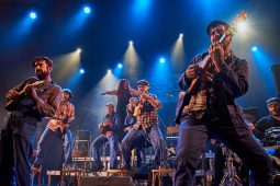 Big Ukulélé Syndicate, Concert
