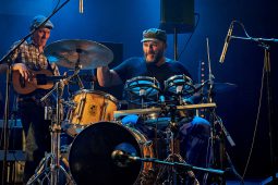 Big Ukulélé Syndicate, Concert