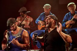 Big Ukulélé Syndicate, Concert