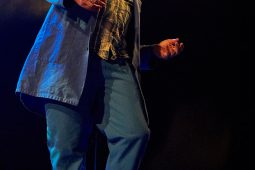 Big Ukulélé Syndicate, Concert