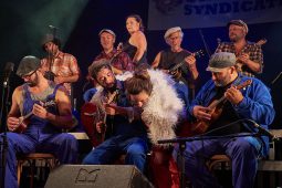 Big Ukulélé Syndicate, Concert