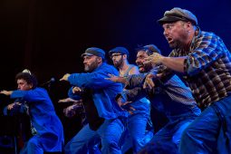 Big Ukulélé Syndicate, Concert
