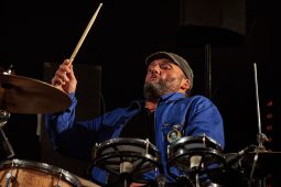 Big Ukulélé Syndicate, Concert