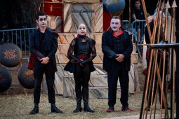 Cie Annibal et ses éléphants, Spectacle