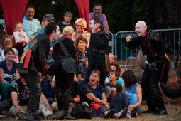 Cie Annibal et ses éléphants, Spectacle