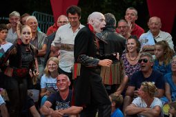Cie Annibal et ses éléphants, Spectacle