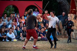 Cie Annibal et ses éléphants, Spectacle