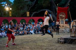 Cie Annibal et ses éléphants, Spectacle
