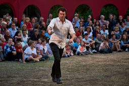 Cie Annibal et ses éléphants, Spectacle