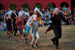 Cie Annibal et ses éléphants, Spectacle