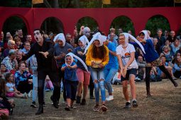 Cie Annibal et ses éléphants, Spectacle