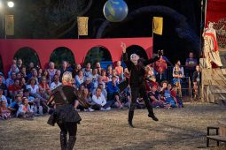 Cie Annibal et ses éléphants, Spectacle