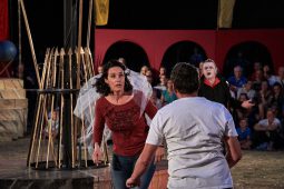 Cie Annibal et ses éléphants, Spectacle
