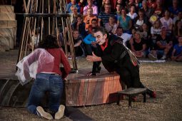 Cie Annibal et ses éléphants, Spectacle