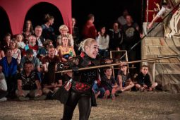 Cie Annibal et ses éléphants, Spectacle