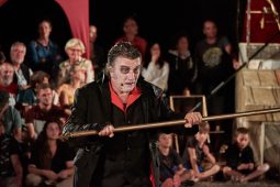 Cie Annibal et ses éléphants, Spectacle