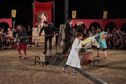 Cie Annibal et ses éléphants, Spectacle