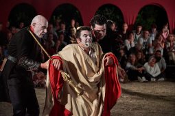 Cie Annibal et ses éléphants, Spectacle