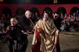 Cie Annibal et ses éléphants, Spectacle