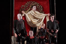 Cie Annibal et ses éléphants, Spectacle