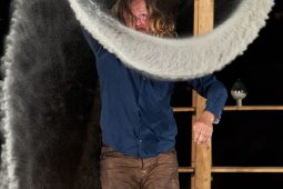 Cie Rode Boom, Spectacle