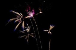 Allemagne, Festival pyrotechnique