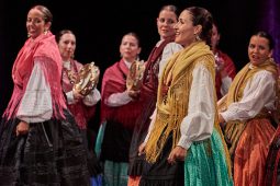 Folklore, Galice, Son d'Aqui, Spectacle