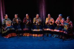 Folklore, Galice, Son d'Aqui, Spectacle