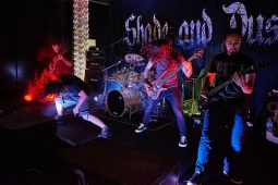 Concert, Shade and Dust