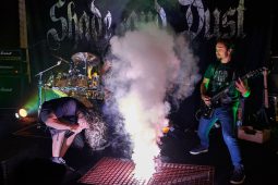 Concert, Shade and Dust