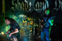 Concert, Shade and Dust