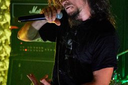 Concert, Shade and Dust